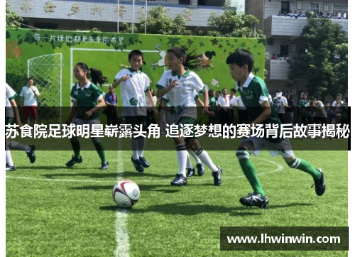 苏食院足球明星崭露头角 追逐梦想的赛场背后故事揭秘
